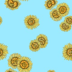 pattern with sunflowers. Seamless floral pattern with the image of sunflowers. Background with sunflowers. Print for textiles, wallpapers. Patter for wrapping paper, clothes, posters.