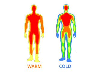 Body temperature ,Vector  Illustration 