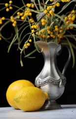 Still life with lemon, retro styled silver vase and acacia tree flowers. Black background. Spring season photo. 
