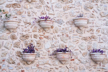 Pots with red plants on a stone light wall as a background