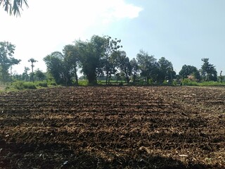 Obraz premium plowed field in spring