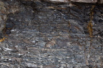 Textura de Piedra 
