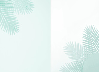 Light Blue Tropical Leaves on a White and Pastel Blue Background. Simple Modern Composition with Paper Cut Palm Tree Leaves ideal for Banner, Card, Greetings. Top-Down View. No text.