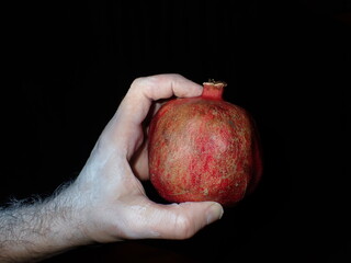 Pomegranate in Hand