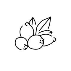 Rose hip plant color line icon. Pictogram for web page