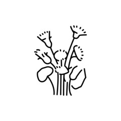 Coltsfoot plant plant color line icon. Pictogram for web page