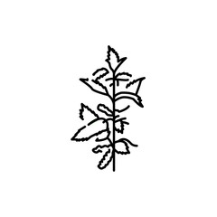Nettle plant color line icon. Pictogram for web page