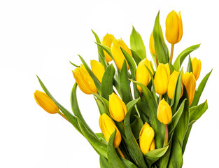 Bouquet of yellow tulips on a white background