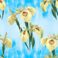 Iris. Seamless pattern. Decorative composition - flowers and buds of irises on the background of watercolor. Use printed materials, signs, items, websites, maps, posters, postcards, packaging.