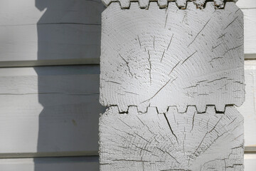 The surface of the cut of a wooden processed dried weathered log with annual rings, painted with...