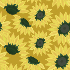 Sunflowers on dark yellow background. Seamless floral pattern