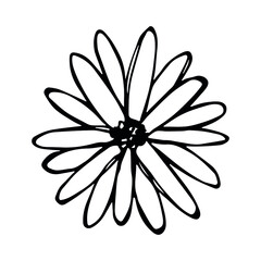 Vector simple flower doodle clipart. Hand drawn floral illustration isolated on white background. For print, web, design, decor, logo.