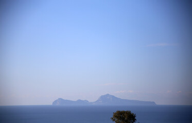Obraz na płótnie Canvas Backlit on the horizon of the blue sea, against a clear sky, the profile of the island of Capri, seen from the coast, with a tree, Campania, Italy 