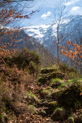 chemin de randonnée dans les Pyrénées