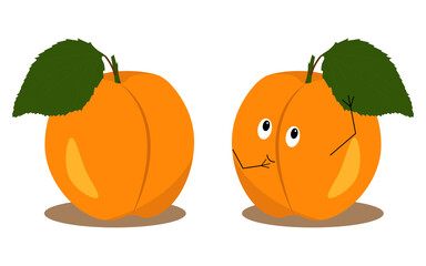 Apricot with kawaii eyes. Flat design vector illustration of apricot on white background.