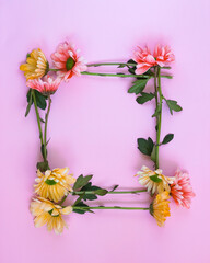 The frame from pink and yellow chrysantemum flowers - 499666636