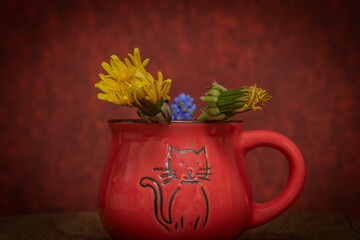 Blue Spike and Dandelion flowers blooms with red vintage background in cat cup