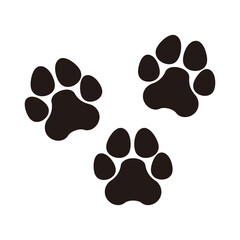 Fototapeta premium paw set icon vector illustration sign