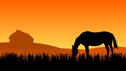 Fototapeta na wymiar Horse in the pasture near the stable at sunset time, vector illustration
