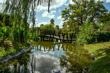 Captura en el estanque del Jardín Botánico de Córdoba.
