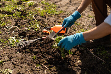 Farmer in the vegetable garden, gardening tools