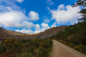 road to the mountains
