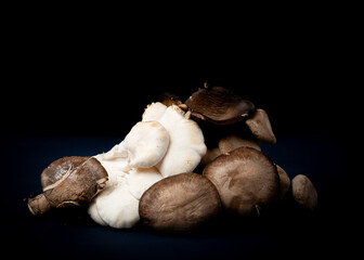 assorted mushrooms on a dark background