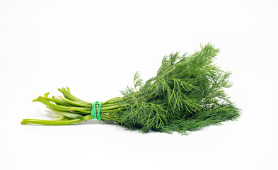 fresh organic bunch of dill from local farmers (producers) isolated on white background