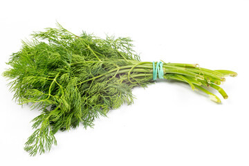 fresh organic bunch of dill from local farmers (producers) isolated on white background