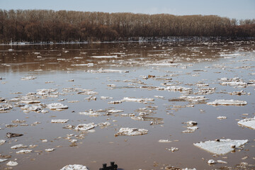 White ice floats in pieces in a dirty river, spring flood, flooded places, the water level in the...