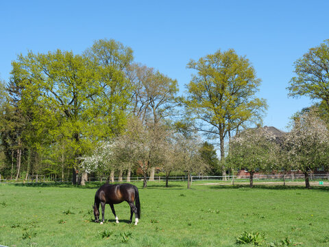 Stadtlohn in westlichen M&uuml;nsterland