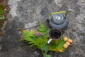 Picnic in nature. Camping kettle and a cup of hot tea. Close-up shot from above.