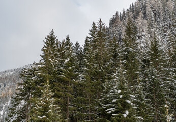 Snowy landscape at the San Bernardino pass in Switzerland