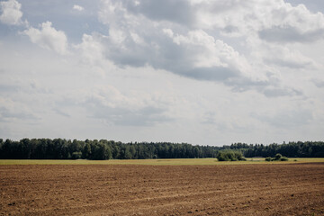 A plowed field, a forest belt and a clear blue sky with clouds on a sunny day. Landscape