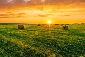Obraz premium Scenic view at picturesque burning sunset in a green shiny field with hay stacks, bright cloudy sky , trees and golden sun rays, summer valley landscape
