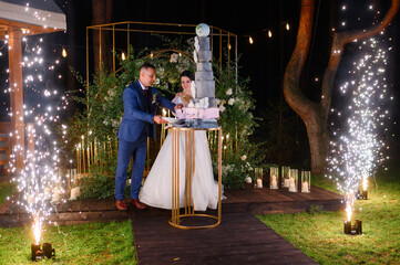 Front view of happy groom and bride, standing on background of wedding arch,  cutting together piece of cake during evening ceremony with glowing cold sparkles and lights
