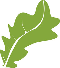 Obraz premium Silhouette of green oak leaf isolated on white