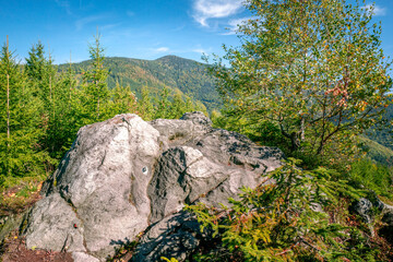 Beautiful sunny summer day in the Beskid mountains, Carpathians, Czech Republic. Lysa hora mountain...