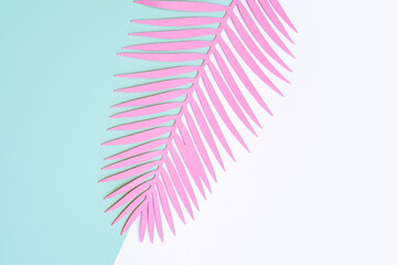 Pink Tropical Leaf on a White and Light Blue Background. Simple Modern Composition with Paper Cut Palm  Tree Leaf on a Geometric Backdrop ideal for Banner, Card, Greetings.Top-Down View. No text.