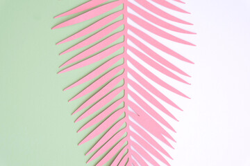 Fototapeta na wymiar Pink Tropical Leaf on a White and Mint Blue Background. Simple Modern Composition with Paper Cut Palm Tree Leaf on a Geometric Backdrop ideal for Banner, Card, Greetings.Top-Down View. No text.