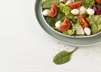 Diet and healthy salad with lettuce, spinach, arugula, mozzarella and cherry tomato. National Salad Month concept.