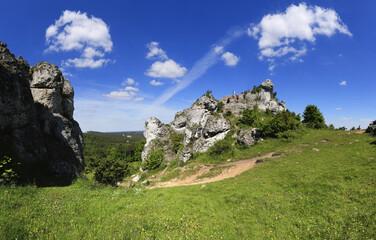 Mount Zborow nature reserve, Krakow-Czestochowa Upland (Polish Jura), Poland
 - obrazy, fototapety, plakaty