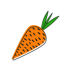 organic and healthy vegetables. carrot logo. editable vector design. on white background.
