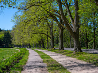 The Lichtentaler Allee in the spa park of Baden Baden _ Baden Baden, Baden Wuerttemberg, Germany