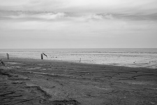 Mud flats in low tide on an overcast spring day along the Delaware Bay rendered in black and white. 