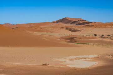 Namibia, the Namib desert, grass in the red dunes in background