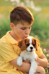 children and pets. outdoor games with dogs. child boy 10 years old walks a pet dog cavalier king charles spaniel