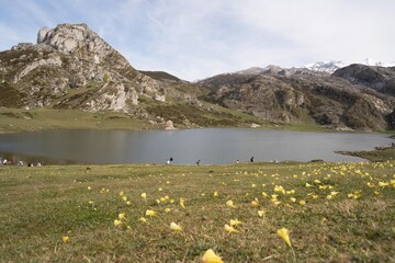 Fototapeta na wymiar mountain landscape in lakes of Covadonga in Asturias, Spain