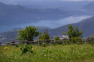 lake Bourget and mountains with green grass valley panoramic view Savoie region France 