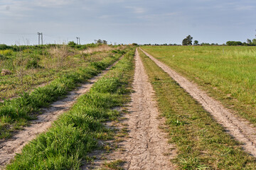 Fototapeta na wymiar Rural Dirt Road Through Grassland in Argentina. horizontal